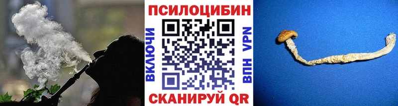 это какой сайт  Хабаровск  Псилоцибиновые грибы Psilocybe  блэк спрут ССЫЛКА 
